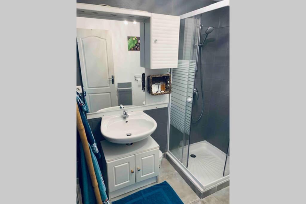 Ferienwohnung 2P Au Coeur Des Montagnes Avec Piscine Chauffee Puget-Théniers Exterior foto