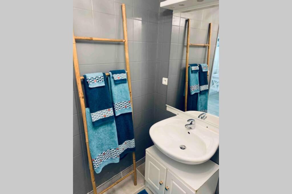 Ferienwohnung 2P Au Coeur Des Montagnes Avec Piscine Chauffee Puget-Théniers Exterior foto