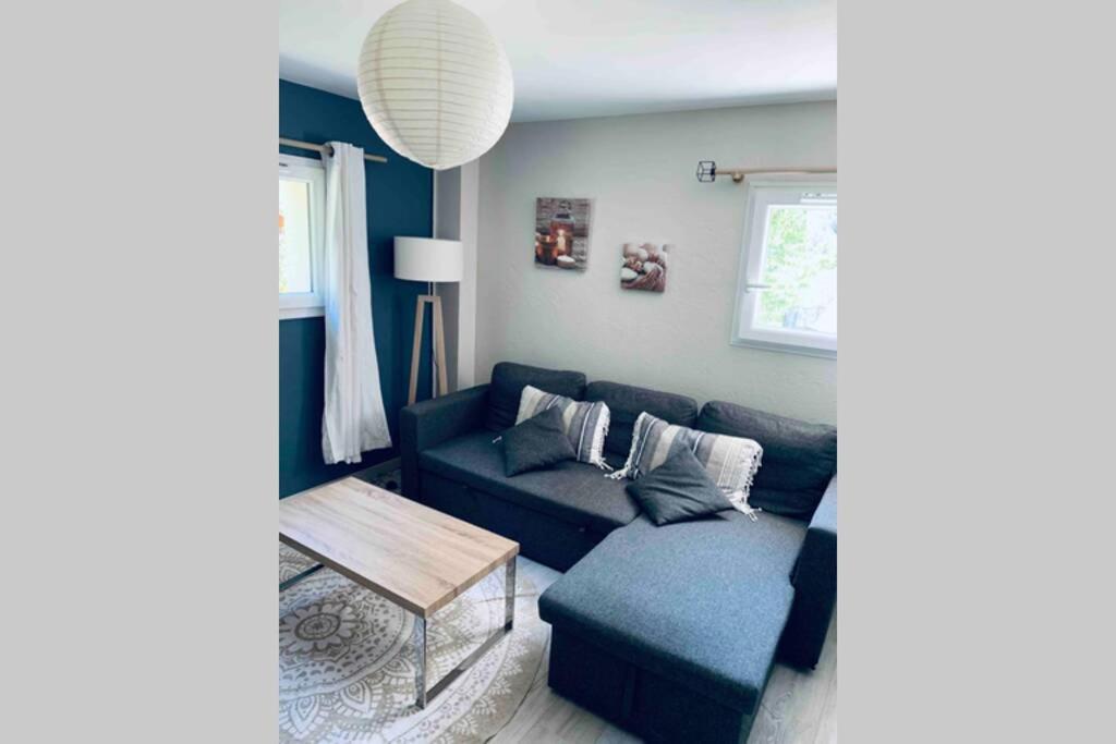 Ferienwohnung 2P Au Coeur Des Montagnes Avec Piscine Chauffee Puget-Théniers Exterior foto